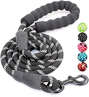 BAAPET 5FT Heavy Duty Dog Leash with Padded Handle & Reflective Threads for Medium Large Dogs - Black, 1/2 Inch Nylon Rope