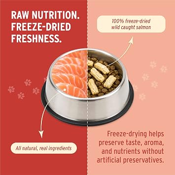 Nutri Bites Freeze Dried Salmon Dog & Cat Treats, Single Ingredient