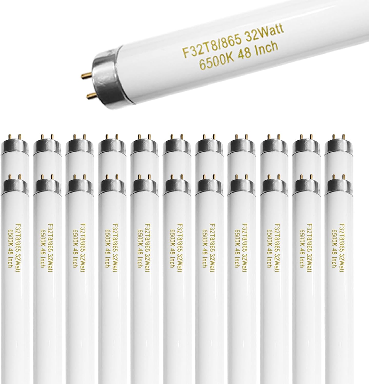 25 Pack F32T8/865 32W 48 Inch T8 Fluorescent Tube Light Bulb 6500K Daylight, 4ft Fluorescent Bulb 2500 Lumens, F32T8/865/DX G13 Medium Bi-Pin Base 25Pcs T8 32W DL