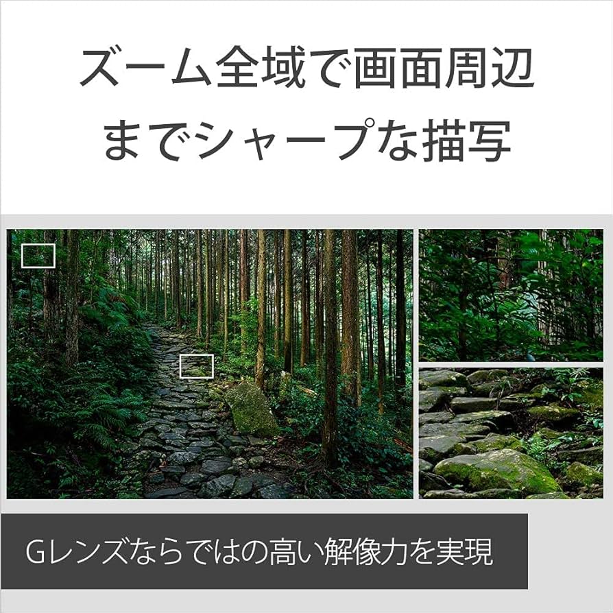 SEL24105G MCプロテクター付き Amazon.co.jp: SONY(ソニー) 【レンズ と 純正プロテクター