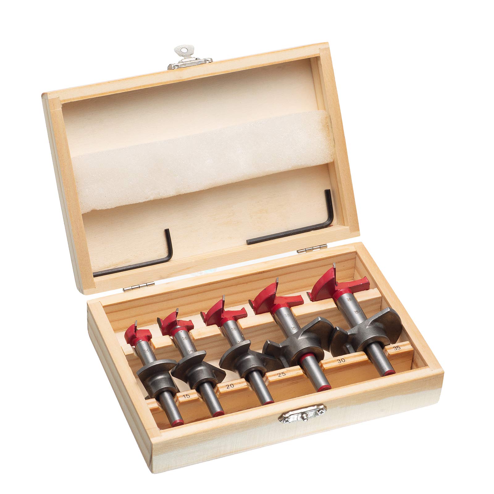 HPMAISON Forstner Bit, 5 Stück 15-35mm Forstnerbohrer Holzbohrer mit Rundschaft, Dübelbohrer Holzbohrer mit Tiefenanschlag, Professional Forstner Bohrer für Holz, Holzbearbeitung