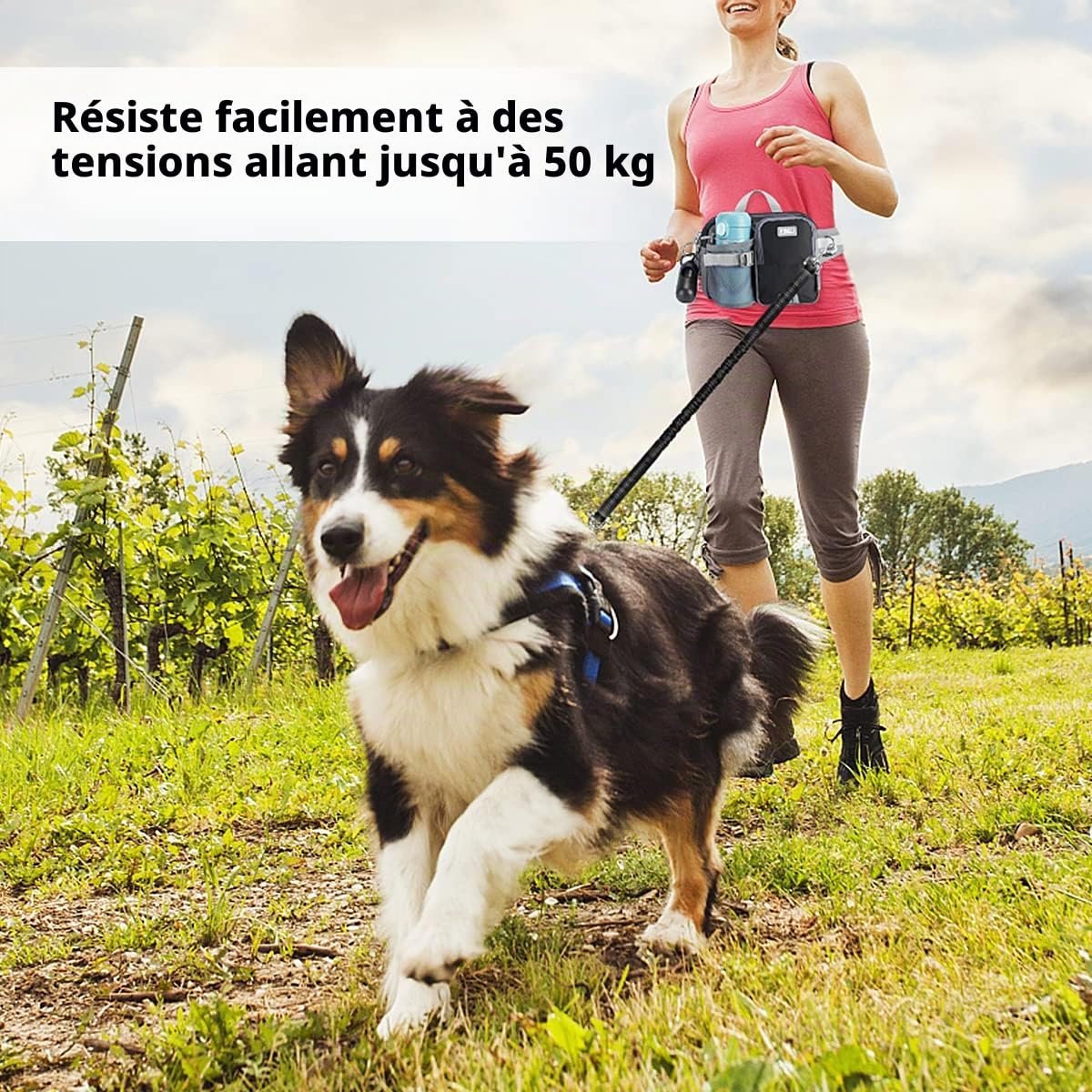 ETACCU Laisse Canicross Chien, Ceinture Canicross Chien avec Téléphone Portable, Porte-Bouteille d'eau, Anti-tirons, réfléchissant, Idéal pour Course à Pied, Jogging et Marche, 123-180 cm