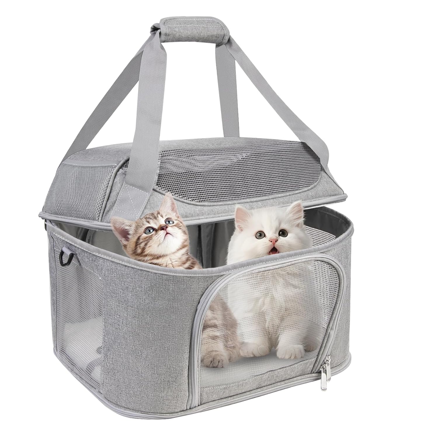 Premium Cat Carrier for Pets Up to 20 Lbs