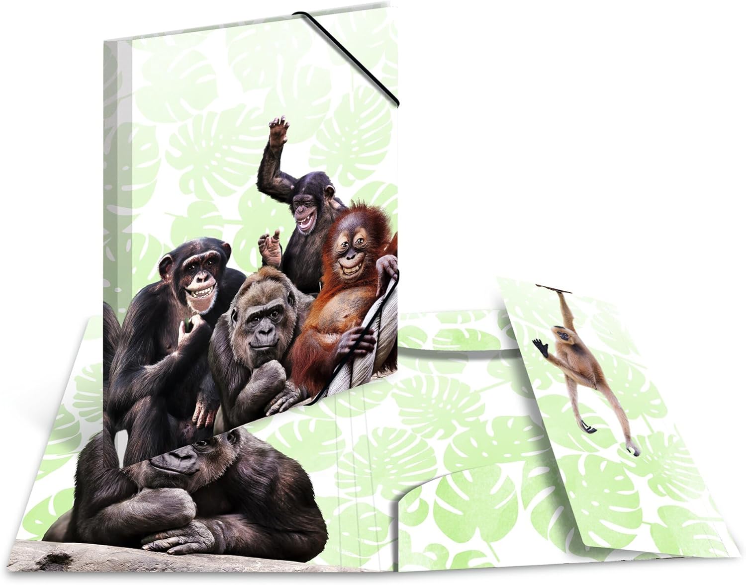 HERMA 19960 Sammelmappe DIN A4 Exotische Tiere Affenbande, stabiler Kunststoff, Ordnungsmappe mit vollständigen Innendruck und Gummizug, Zeichenmappe für Kinder, Mädchen und Jungen