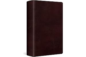 ESV Large Print Personal Size Bible: Perfect for Studying and Daily Reading