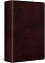 esv large print bible Top3商品