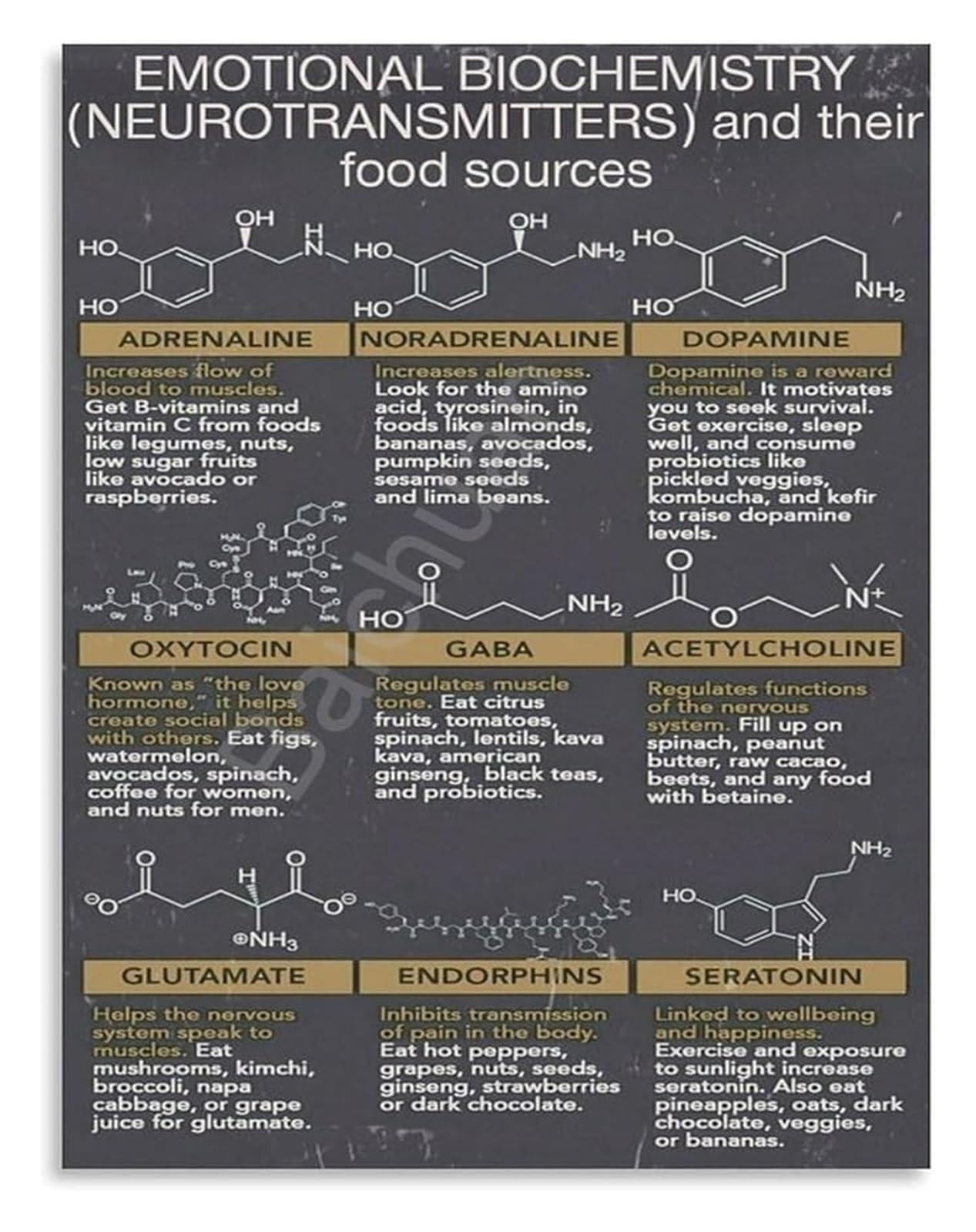 FOPURE Scientific Neurotransmitter Chart Educational Canvas Poster Brain Function Art for Study Room Home Library(Unframed,08x12inch(20x30cm))