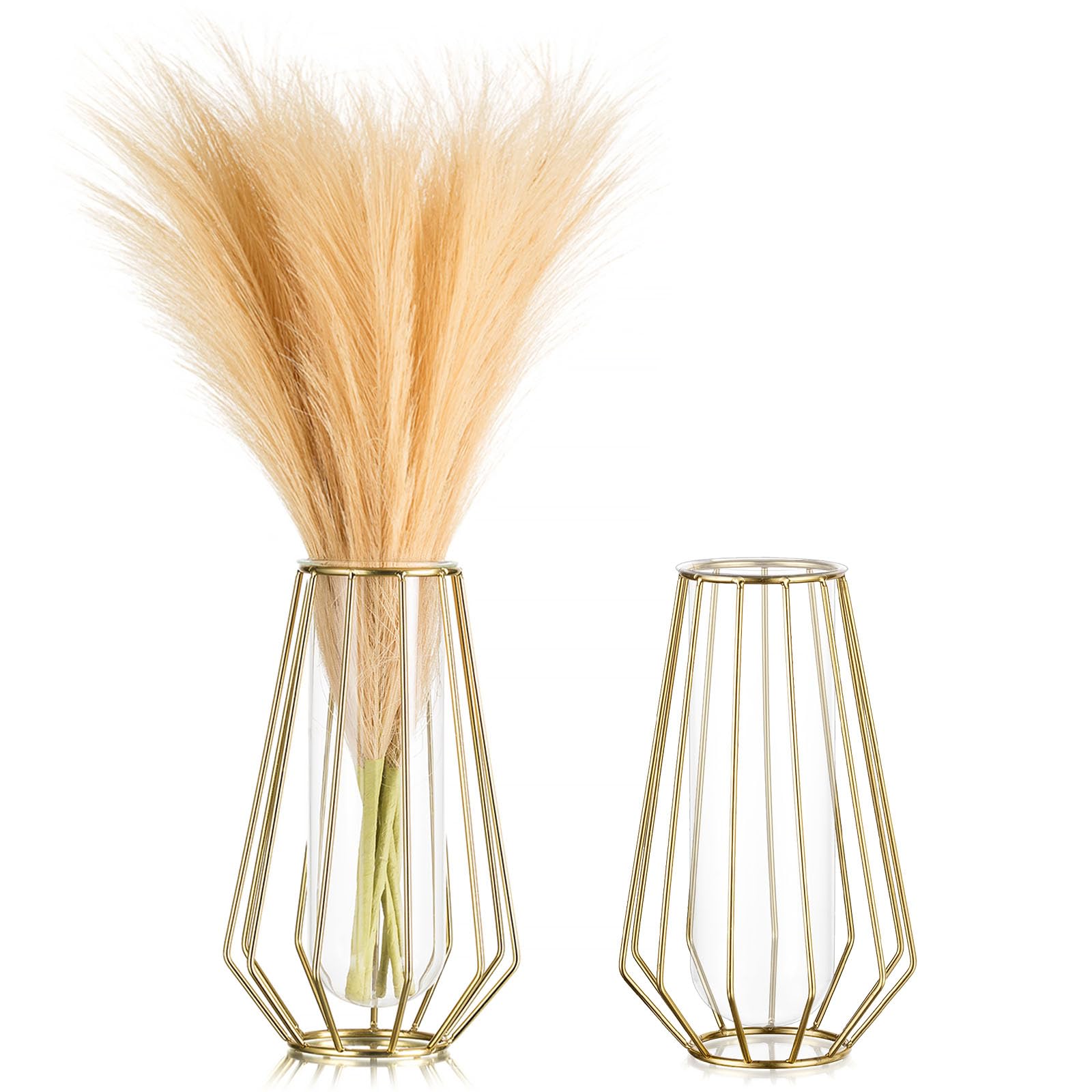 Goldene Tischvase Mit Glasröhre – Geometrischer Metallrahmen Für Hydrokultur Oder Blumen (birnenförmig)
