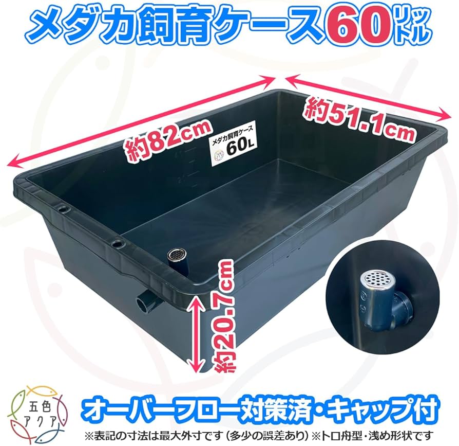 トロ舟 60 メダカ育成　メダカの長屋 トロ舟 60 メダカ育成 メダカの長屋 トロ舟60 | チャーム