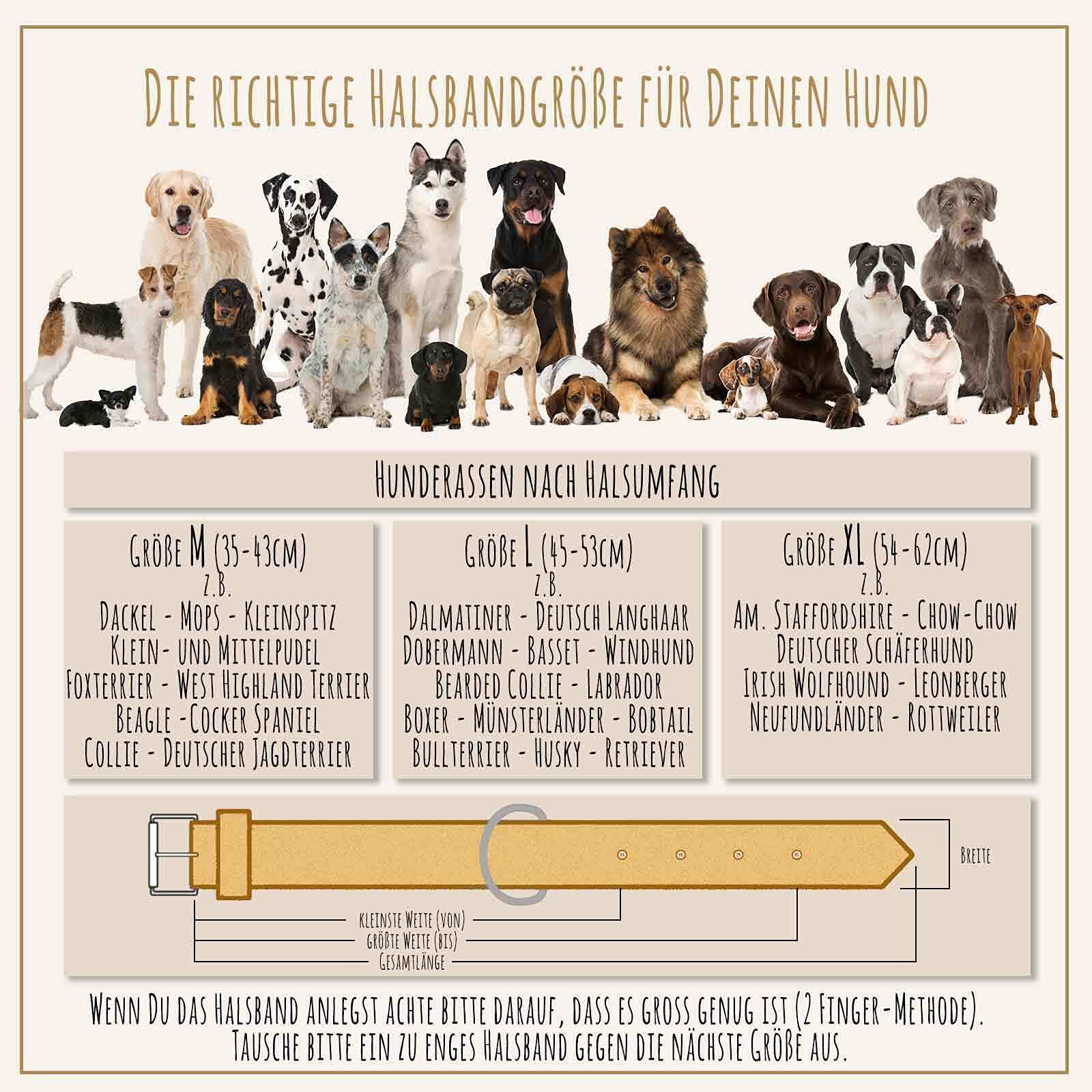 Hundehalsband aus Leder beige handgeschnitzt mit Premium-Kristallen L