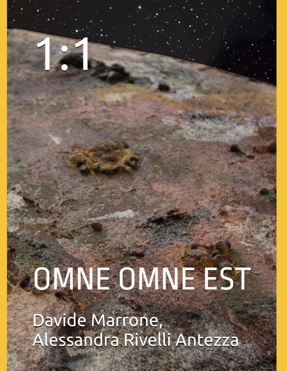OMNE OMNE EST avec proportions 1:1 exactes pour une intégration parfaite et stable