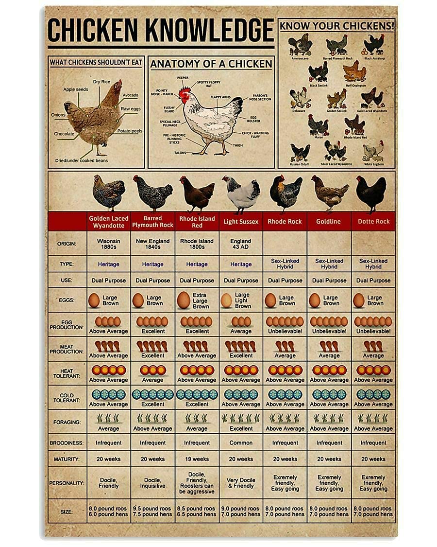 peiyeety Chicken Knowledge Posters Information Science Guide Metal Signs Room Club Farm Decor Retro Plaque Wall Decor es 8"x12"