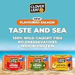 Clover Leaf Wild Flaked Huile d'olive de saumon, 80g, 24 Boîtes à sucre faciles - Salade de saumon rose en conserve à haute teneur en protéines pour snack & Repas principal - Omega-3 & Vitamine D - Pas de conservateurs ou d'additifs