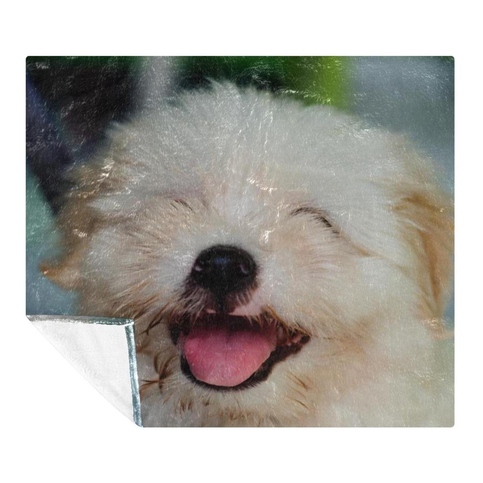 Couverture Shih Tzu anti froid plaid polaire léger pour canapé