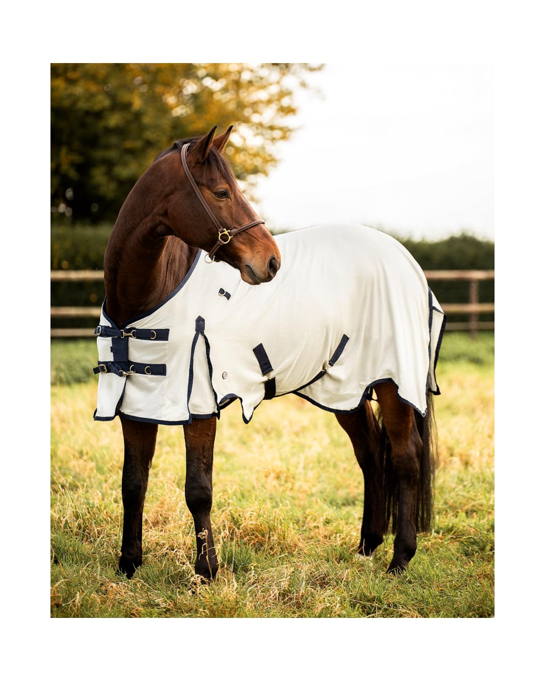4Horses Fliegendecke Multi Defender, atmungsaktive Pferdedecke mit UV-Schutz, Insektenschutz, abnehmbarem Halsteil und Kreuzbegurtung