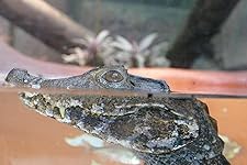 Review Image by Mark Winterstein