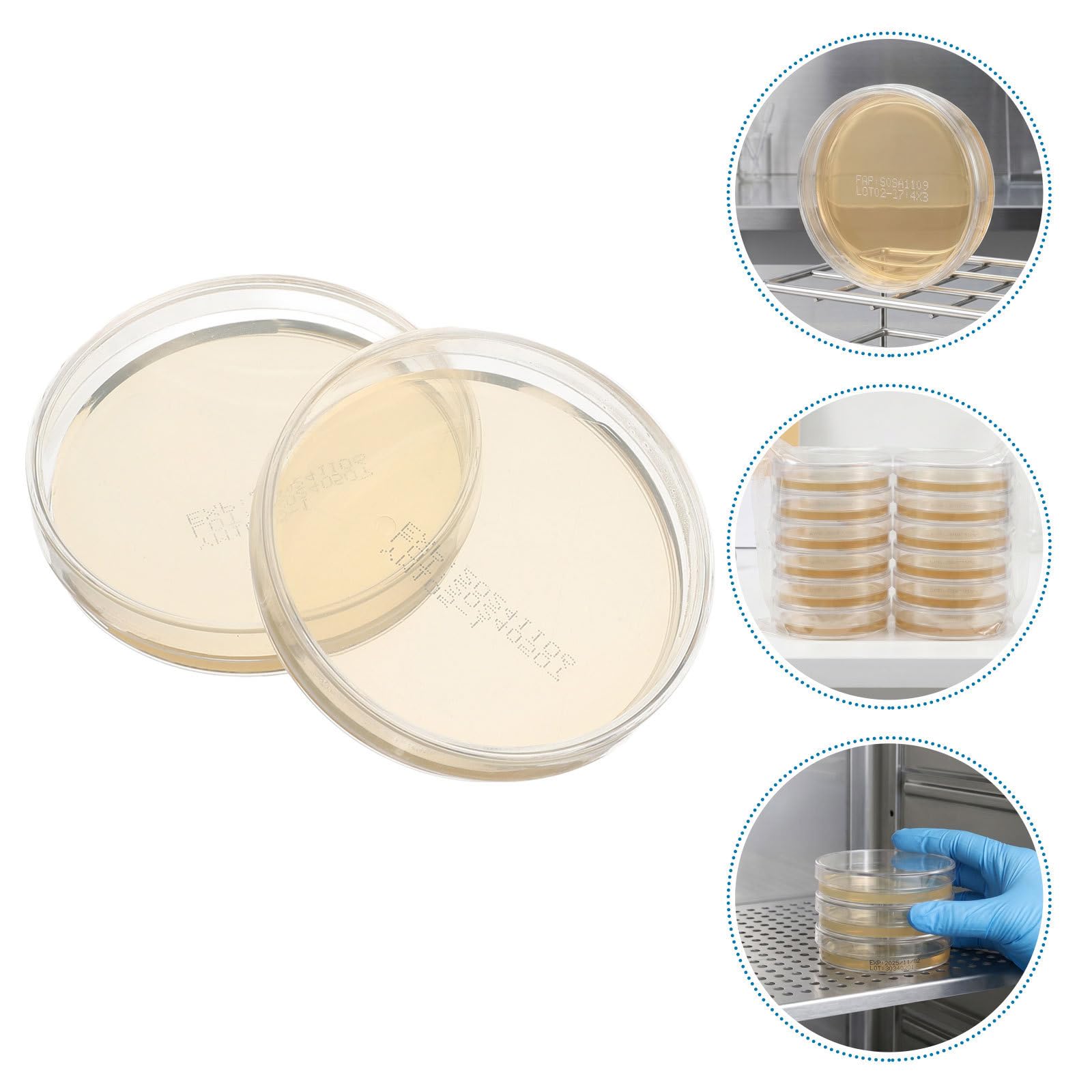 Outanaya 30 Pezzi Piastra Esperimenti Scientifici in Aula Agar Materiale Agar per 7cm Preconfezionata Coltura Microbiologica Micologia