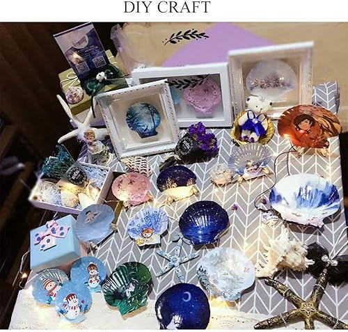 Miniatura 5 de Conchas de vieira blanca natural, 16 unidades para manualidades, sirena, playa, boda, decoración del hogar (3-3.5 pulgadas)