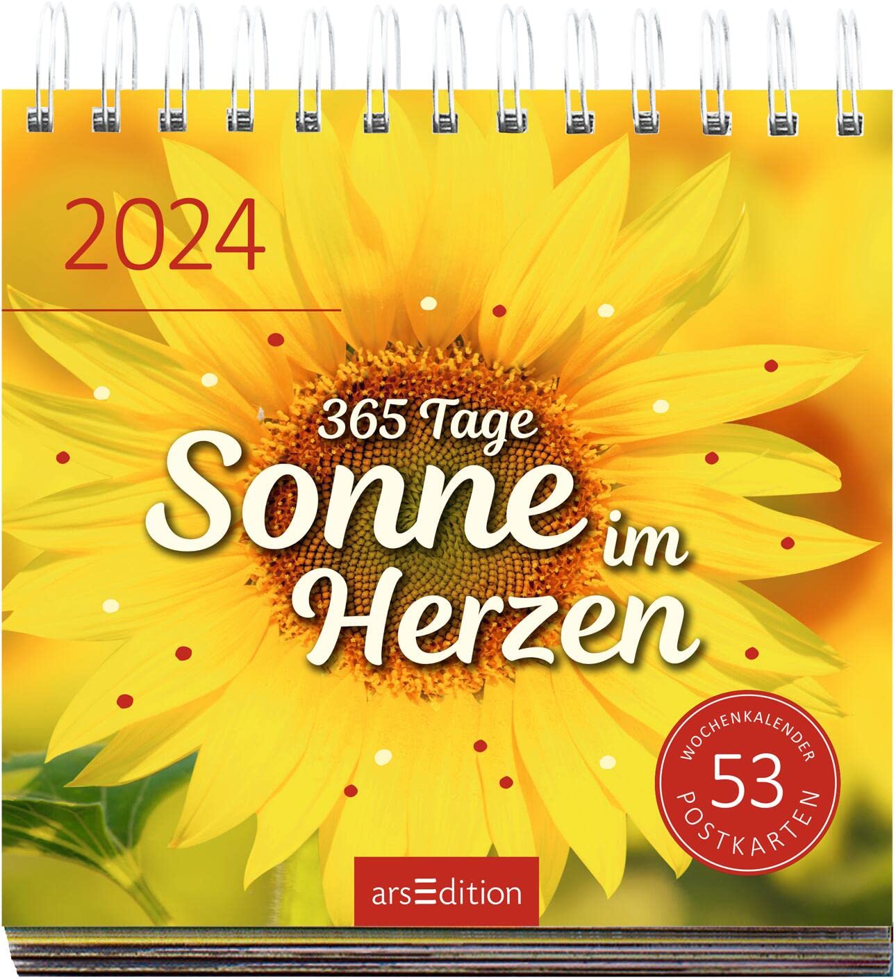 Display Postkartenkalender 2024: Mit 20 x 3 Ex. | Wochenkalender 2024, 53 Postkarten zum Abtrennen und Verschicken