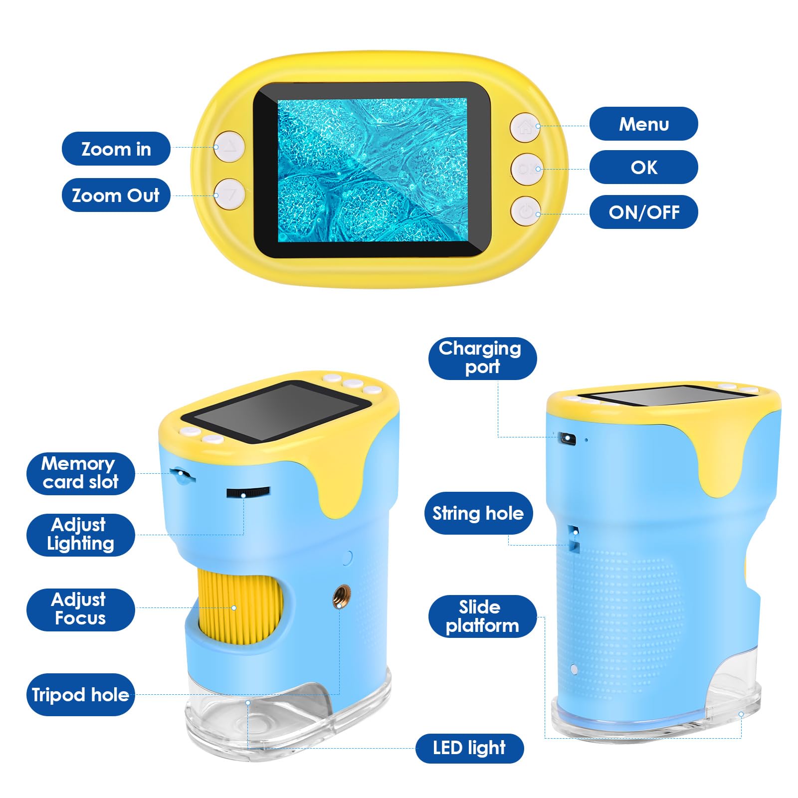 Digitale Microscoop Voor Kinderen - 1000x Vergroting, Draagbaar En Handzaam Inclusief Sd Kaart Digitale Microscoop Voor Kinderen - 1000x Vergroting, Draagbaar En Handzaam Inclusief Sd Kaart
