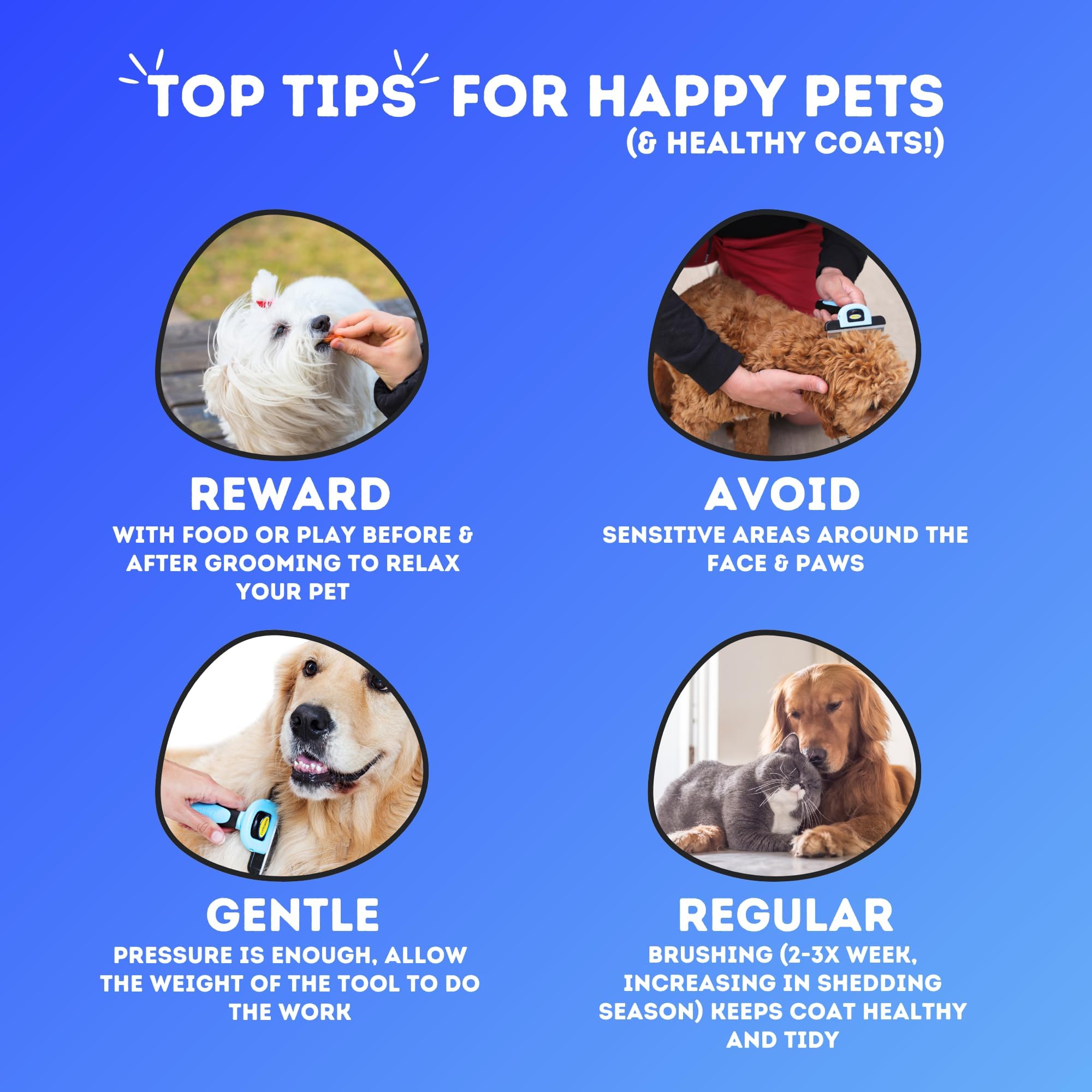 DakPets Outil de toilettage d'animaux de compagnie et Brosse de toilettage pour animaux de compagnie Peigne pour Chiens et Chats