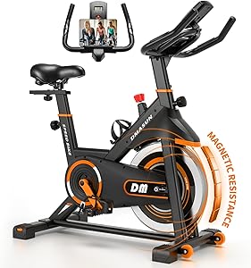 DMASUN Spin Bike