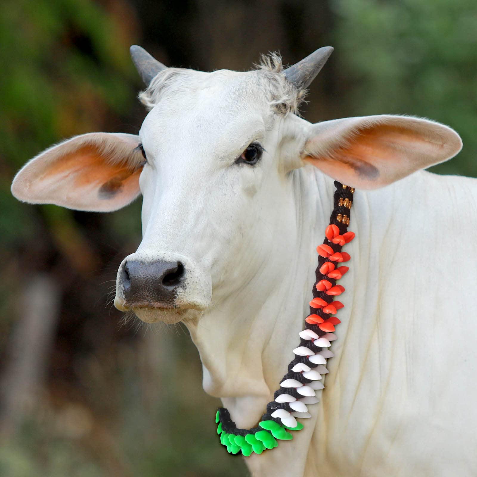 Cow/Buffalo/Bull/ Nylon/Cotton Rope,Leash,Cow Cord,Cow Belt 105 cm Cow Martingale Leash (White, Green, Orange, Black) (B0BS9R356V) Amazon Price History, Amazon Price Tracker