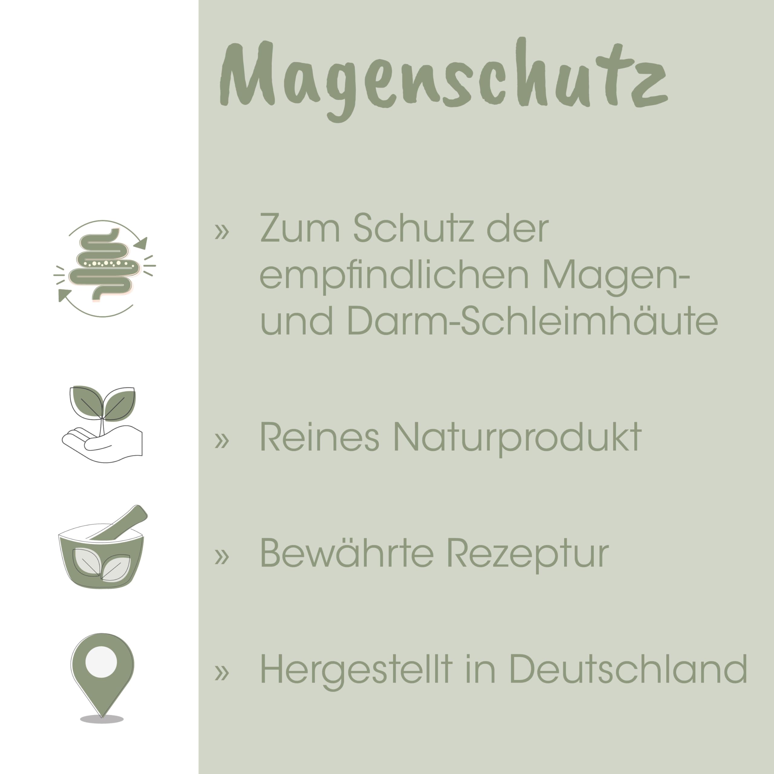 EquiGreen Magenschutz