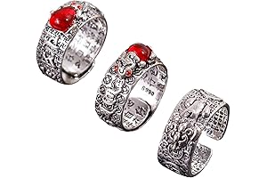Pixiu Mantra Ring: 4-Piece Feng Shui Jewelry for Protection and Prosperity