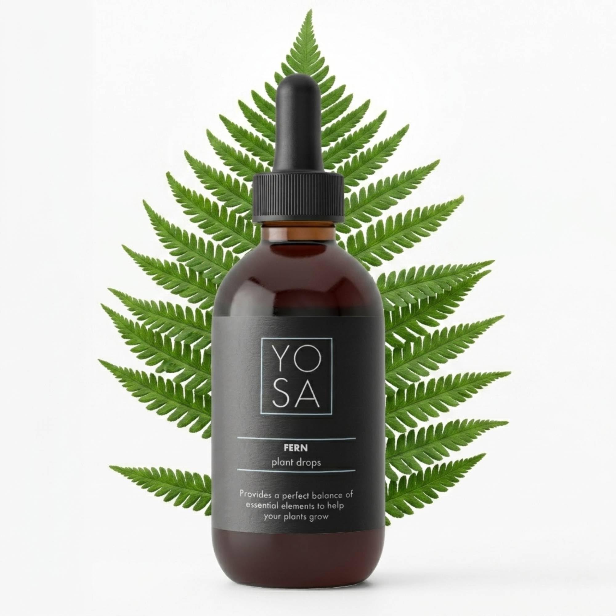 YOSA Fern Plant Food Fertiliser 100ml – Premium Fern Feed Liquid Fertiliser, Nutrients for Growth, Strong Roots, Healthy Leaves, House Plant Food (NPK 8-4-8) — image 1