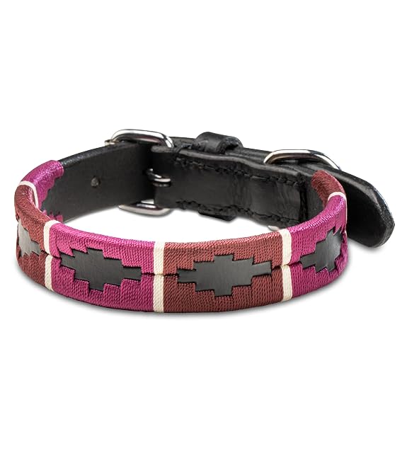 Foto 4 de 7 de Jack & Russell Polo Collar para Perro de Cuero