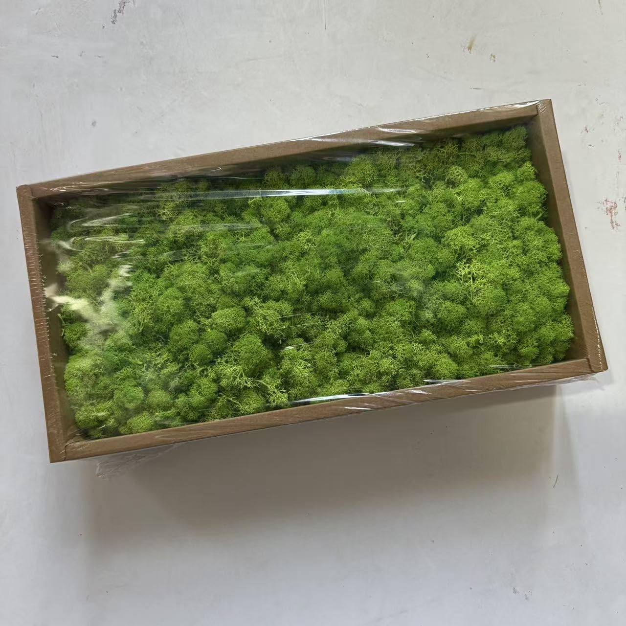 ZenceWell Preserved Reindeer Moss 500g for Crafts and Décor, Fruit Green