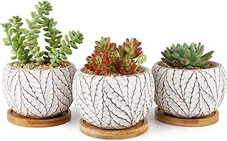 T4U Small Succulent Pots Cement Planters for Succulents, 4 Inch Succulent Small Pot Set of 3, Leaf Pattern Indoor Concrete Cactus Plant Pot with Saucer Round Succulent Holder for Home Office Table