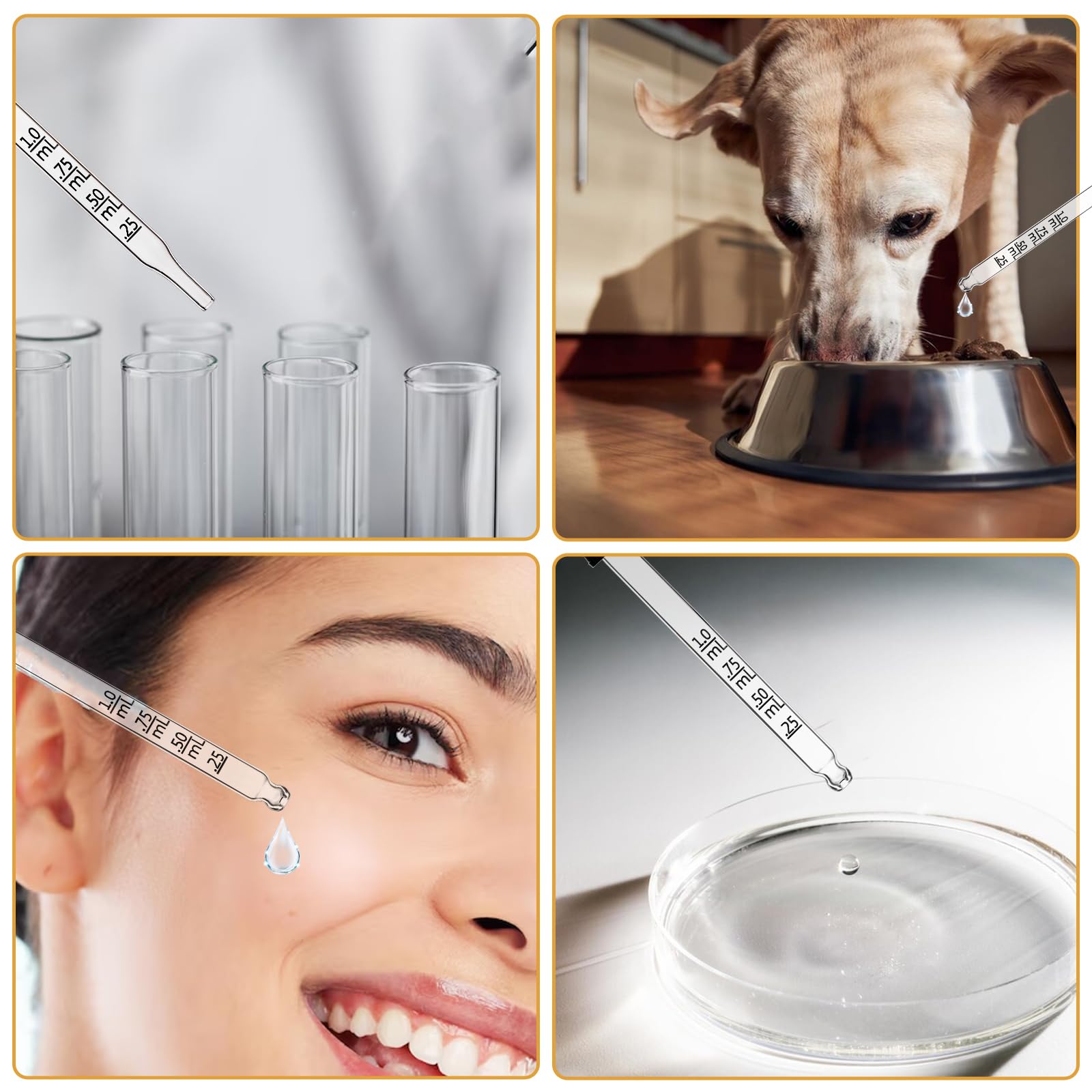 RAXLUPO 10 Stück 1 Ml Glaspipetten Mit Skala – Tropfer Mit Gummikopf, Abnehmbar, Inkl. Reinigungsbürste – Für Labor, Kunst, Öle & Farben