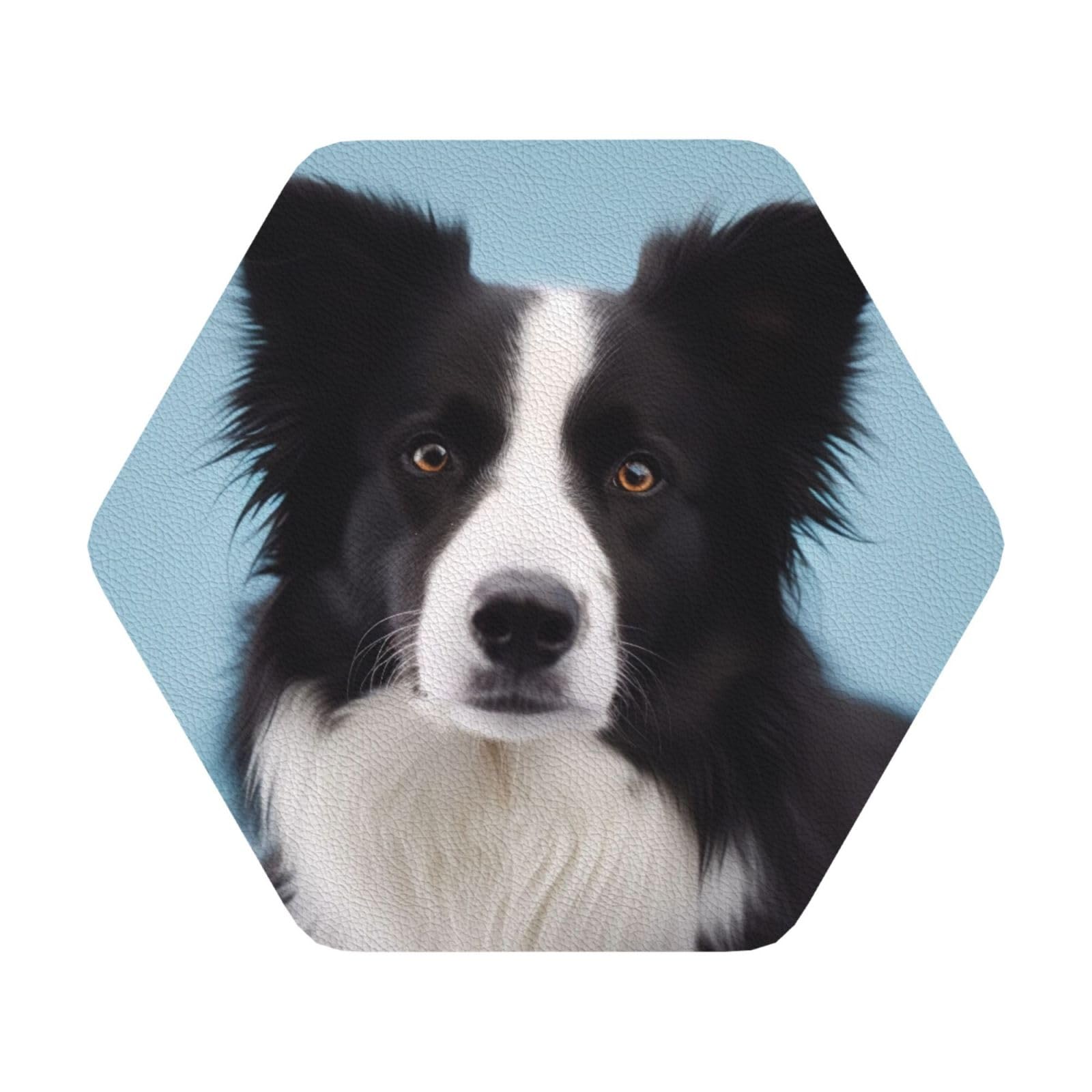 Border Collie Print Leather Coaster Set of 6, Hexagon Coasters Table Decorative Coffee Cup Beverage Coasters Wine Beer Bar Coasters for Hot Drinks Table Protection