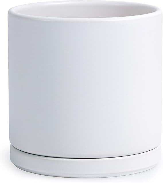 D'vine Dev 10 Inch Ceramic Planter Pot with Drainage Hole and Saucer, Indoor Cylinder Round Planter Pot, White, 94-O-L-1