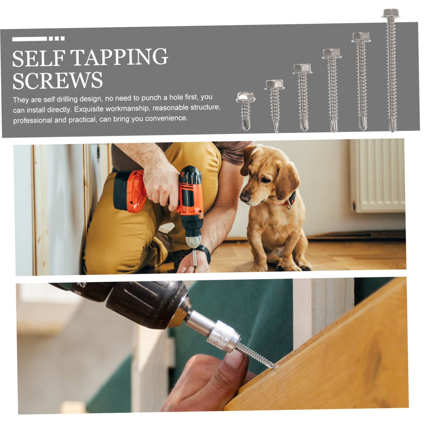 ★残り1点✨ 六角ワッシャーヘッドセルフドリルねじ ステンレス鋼 Amazon | NUOBESTY 1セット不锈钢自钻螺丝 六角ワッシャーヘッド 堅牢