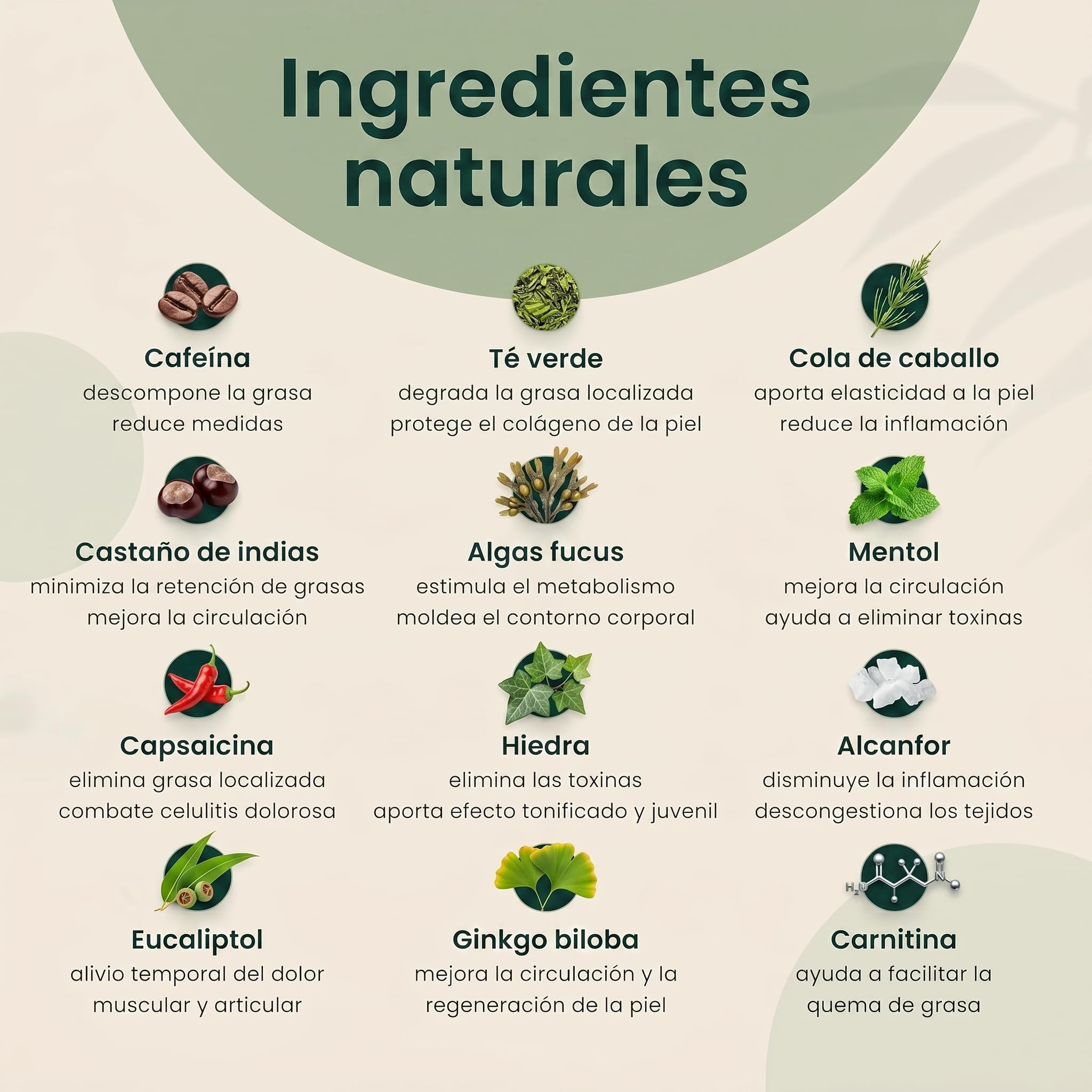 nsh. Crema Anticelulitica Reductora 2x 300ml. Reafirmante Corporal con Cafeína al 12%. Tensa y remodela el contorno. Reduce Celulitis y Piel de Naranja | Hidratante + Reafirmante. (Paquete de 2)