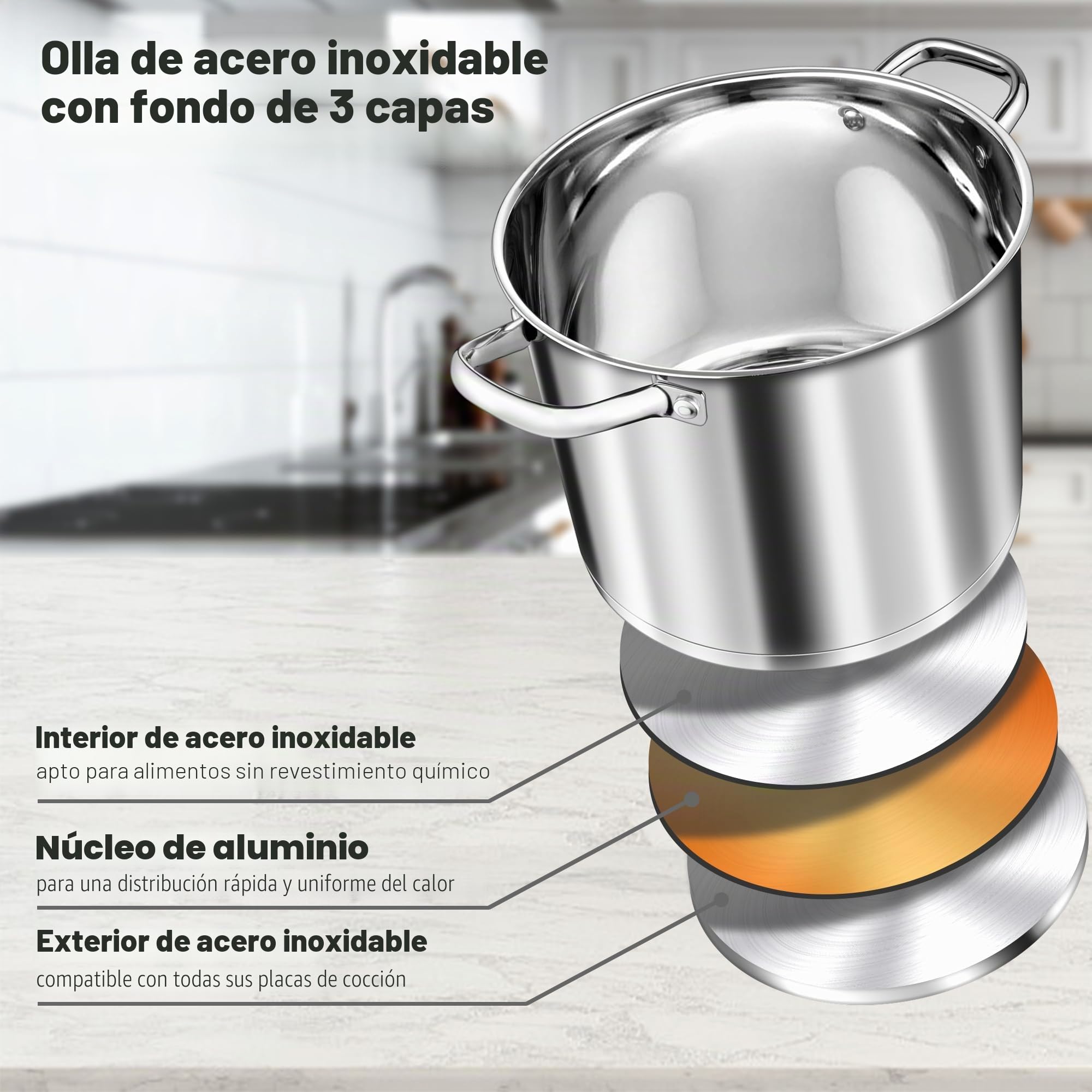 TEAMFAR olla 10L, olla grande de acero inoxidable para pasta de inducción con base de 3 capas para todo tipo de cocinas, tapa de cristal, olla sopera de 24cm olla para carne para cocinar