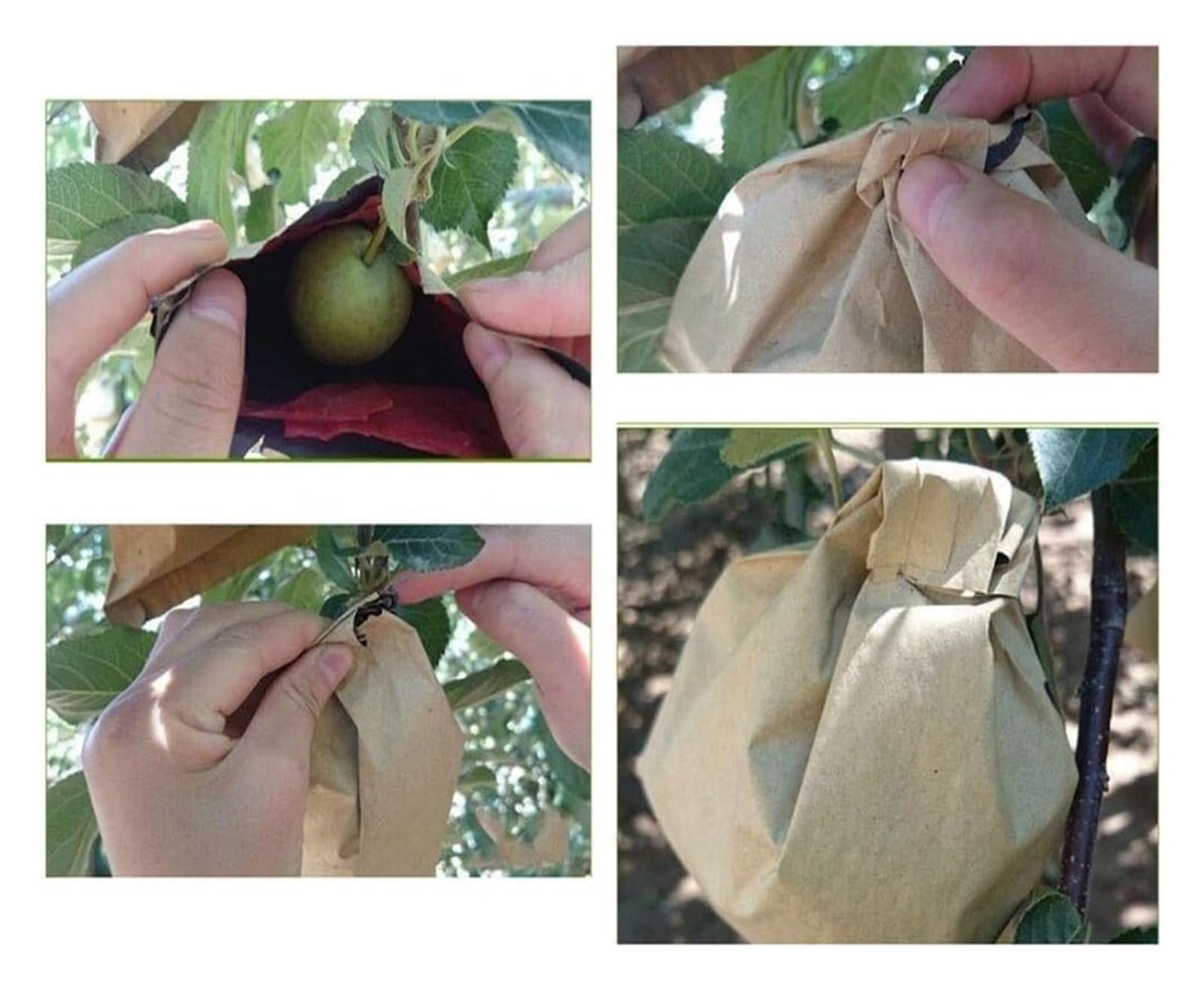 Bolsas Protectoras contra Insectos para Uvas, Bolsas Impermeables de Doble Capa for Cultivo hortalizas, Malla antipájaros for Control plagas agrícolas, 100 Unidades(15cmx18cm)