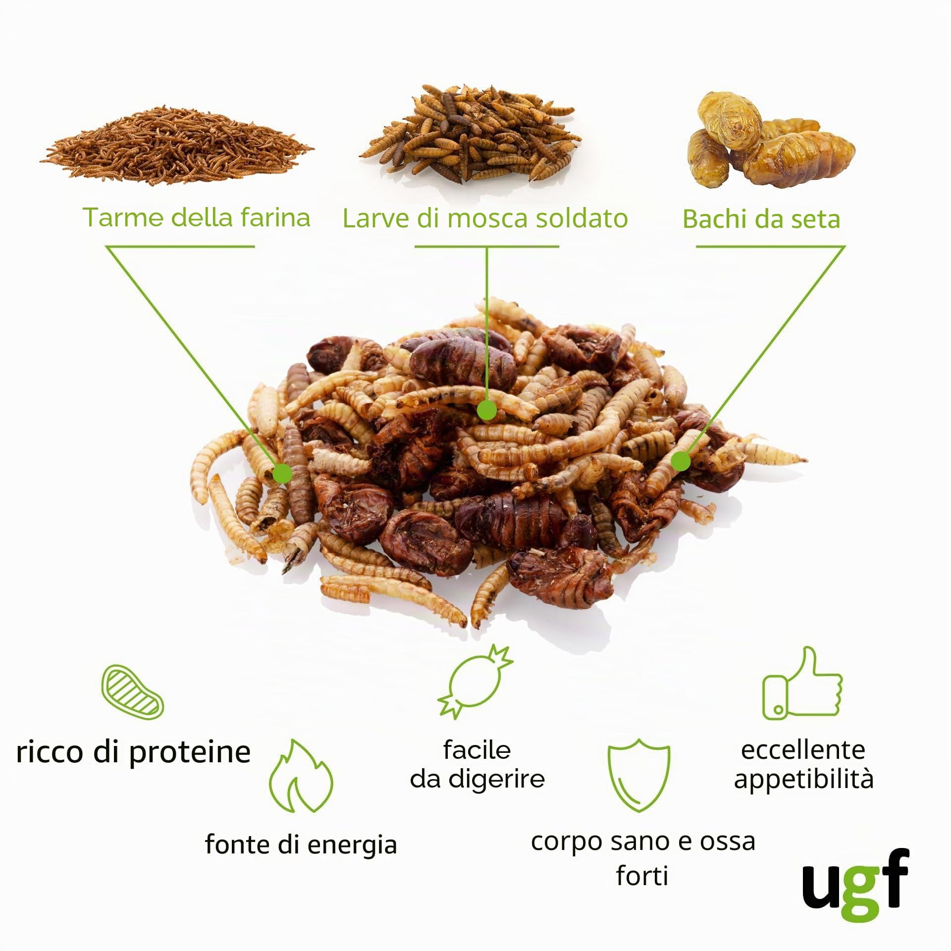 UGF Mix di insetti 80 g 500 ml cibo per ricci, gerbilli, criceti, ratti, lucertole - vermi della farina, larve di mosca soldato nera, bachi da seta