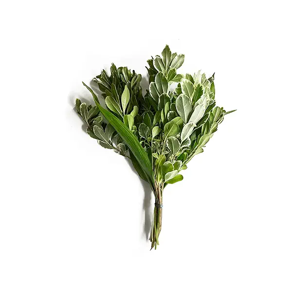 Continental Floral Greens Greens Bunch 12 Stem, 1 EA 1