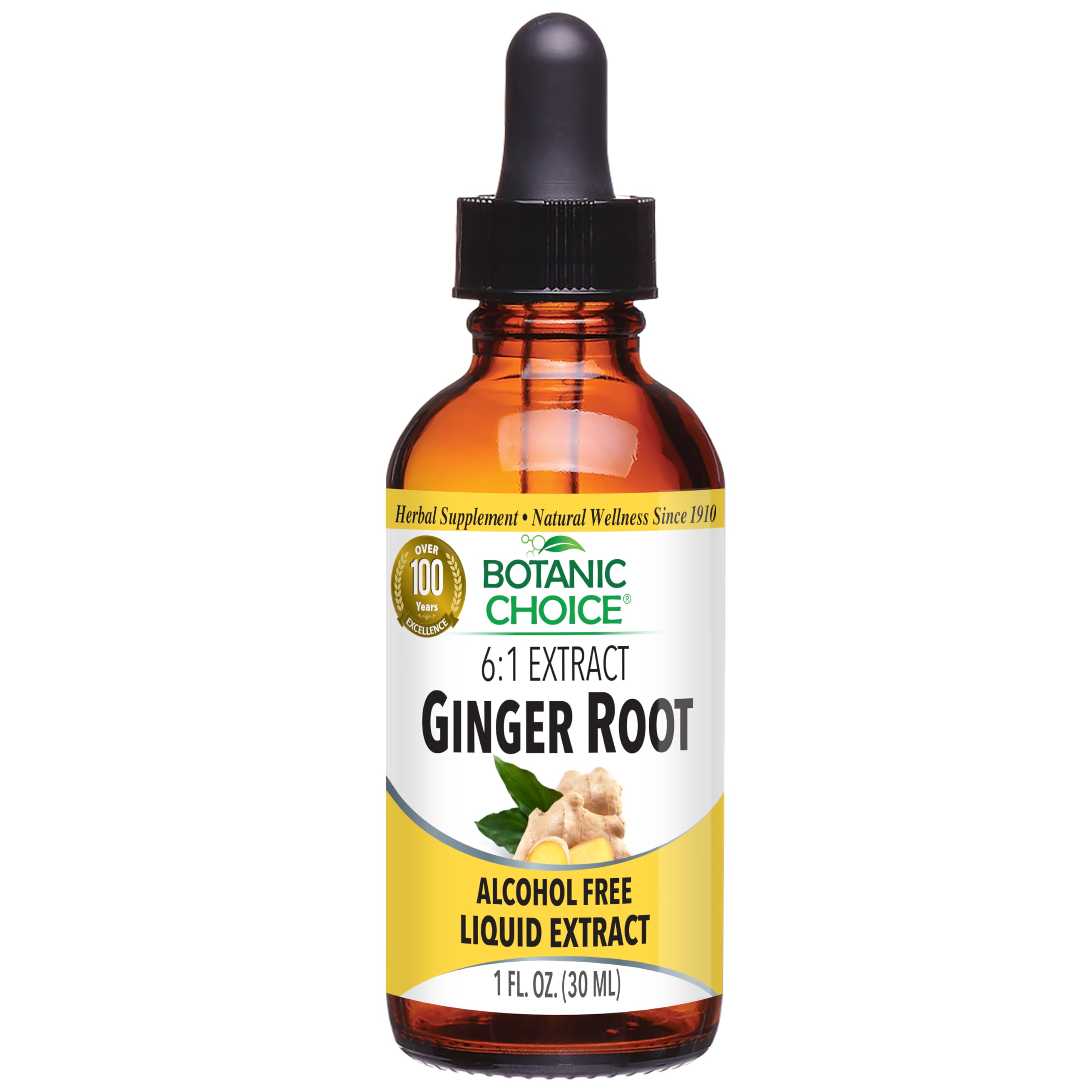 Botanic Choice Ginger Root Liquid Extract Alcohol Free 1 fl oz