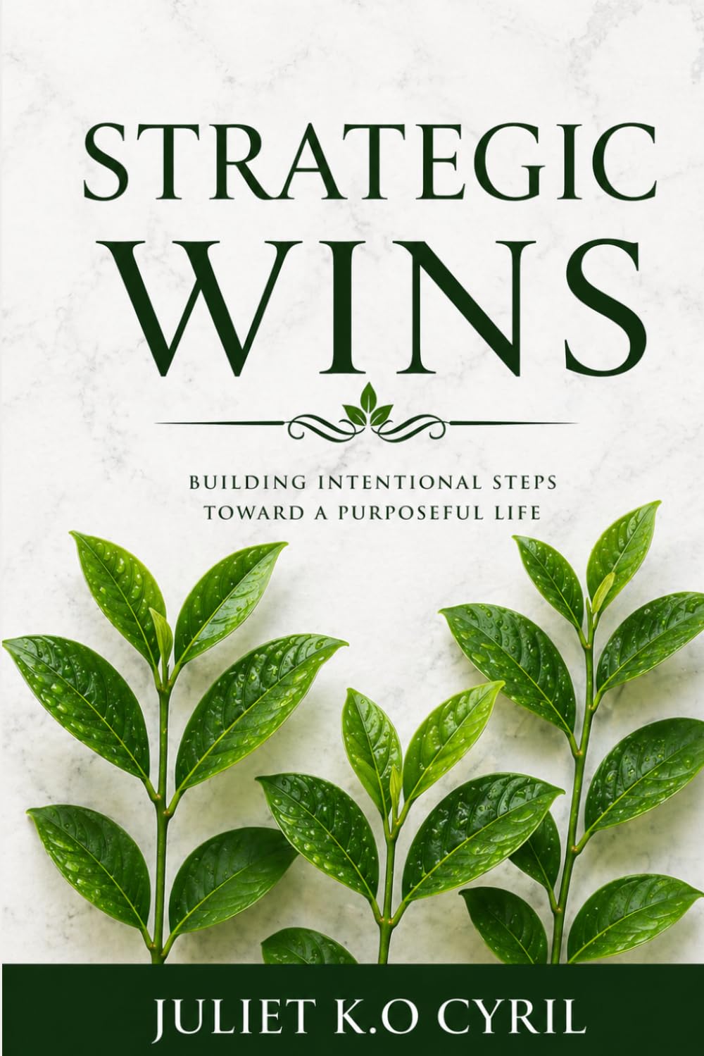 STRATEGIC WINS: Building intentional steps towards a purposeful life