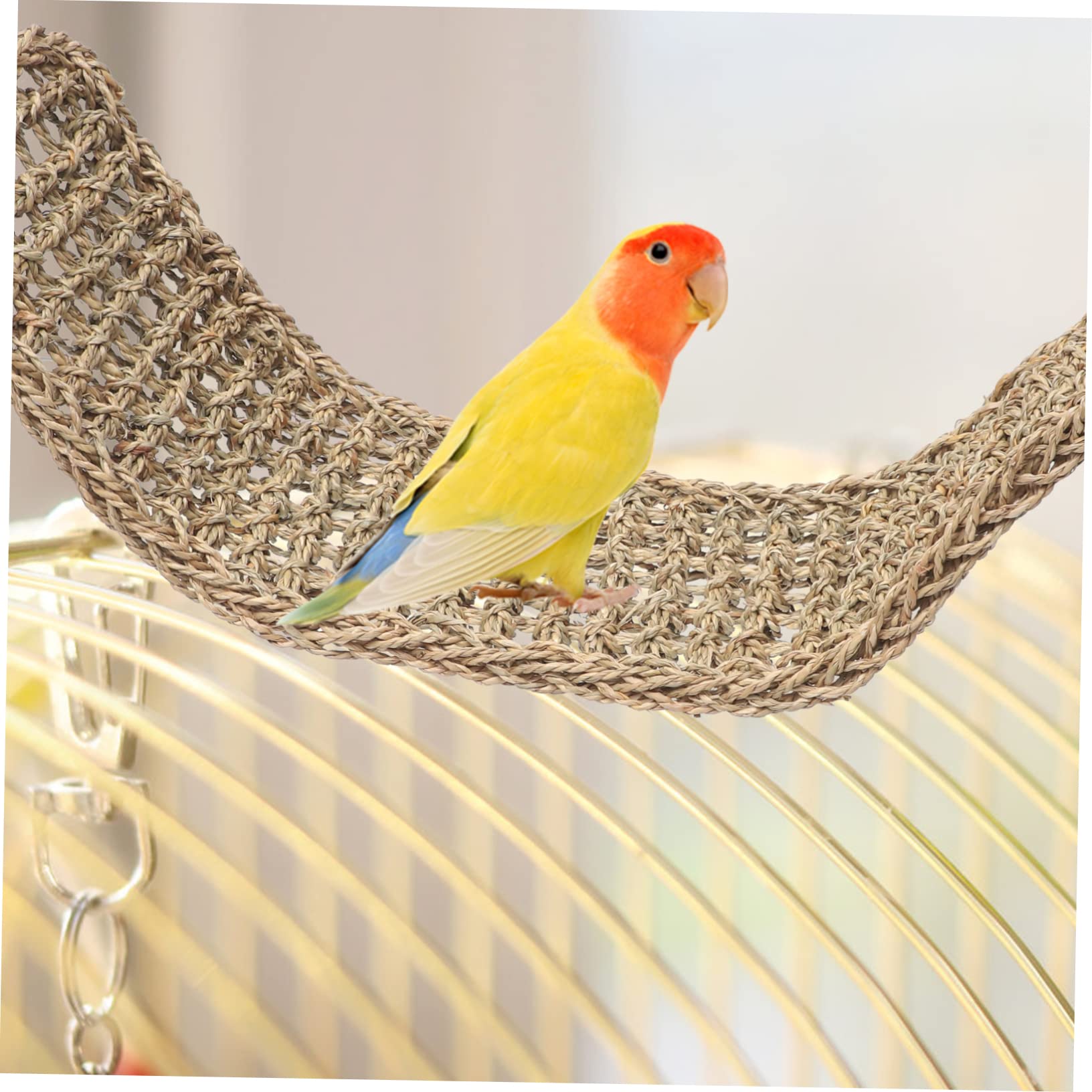 Kisangel Percha Colgante para Pájaros Juguete Trepador para Loros y Periquitos Soporte De Hamaca para Pájaros para Jaulas De Aves y Juguetes Colgantes Decorativos