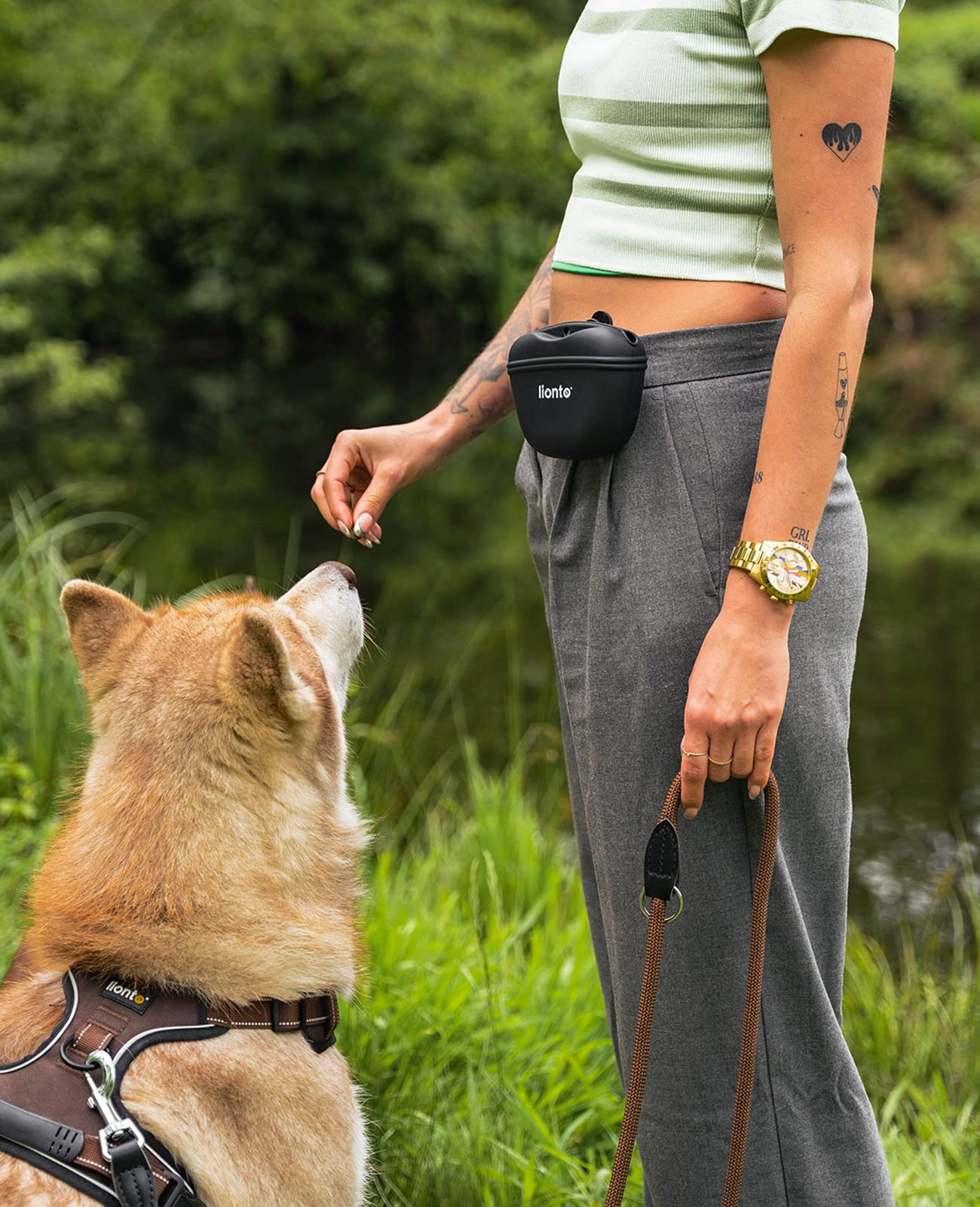 lionto Sacchetto per Cibo per Cani Sacchetto da addestramento in Silicone con Chiusura Magnetica, Set da 2 pz