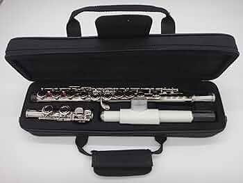 Amazon | 誰が吹いてもすぐ音の出る特許マウスピース付き