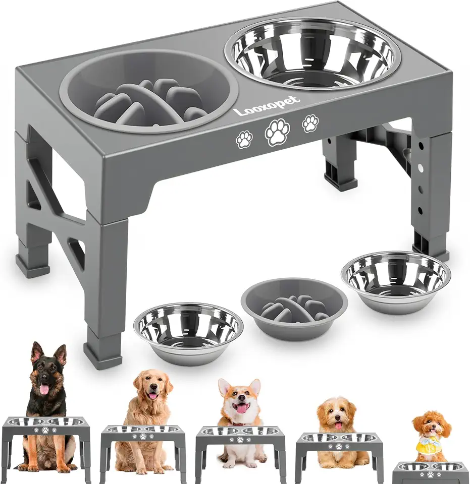Comedouro Elevado para Cães Gatos Pet inox com Lento Cor Cinza
