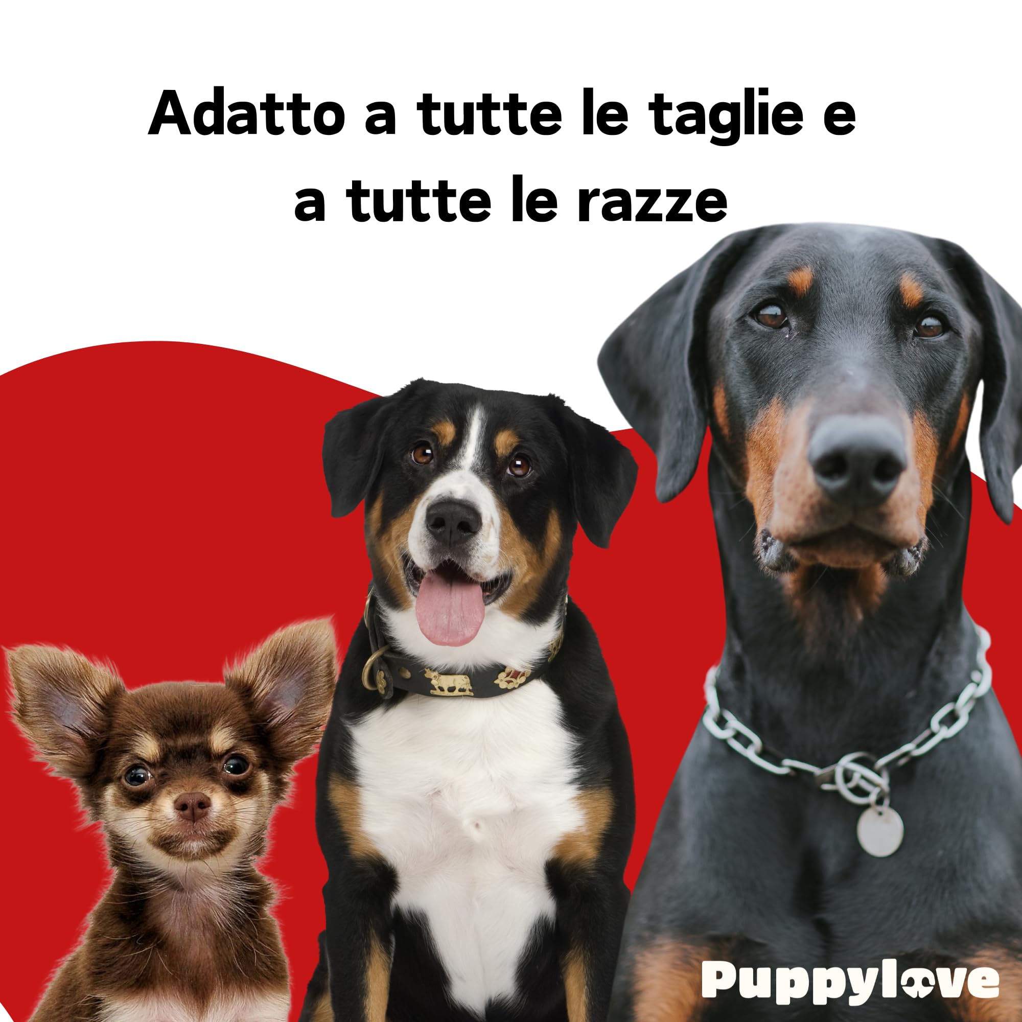 Puppylove Digestion Boost – Fermenti Lattici per Cani e Per Gatti - 100 Compresse – Probiotici e Prebiotici - Supporto Digestivo Naturale – Formula Adatta a Cani e Gatti di Tutte le Taglie