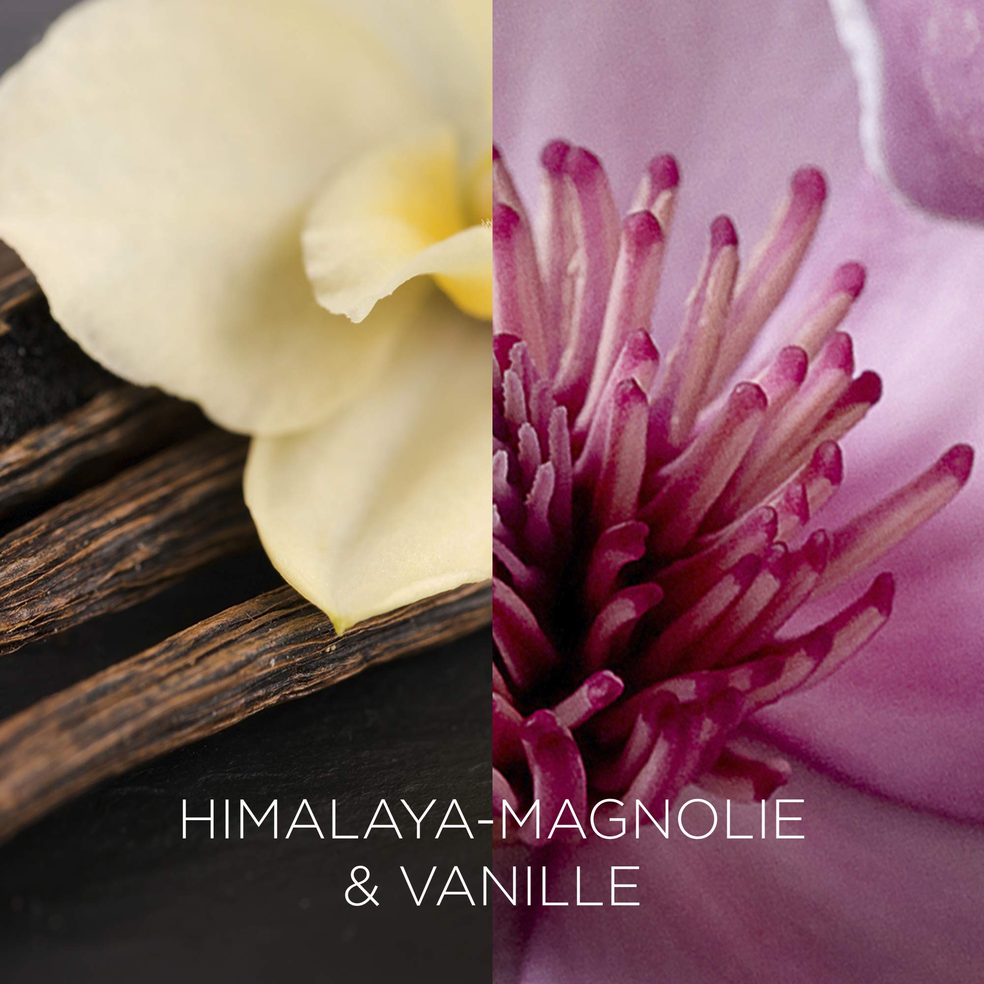 Botanica by Air Wick Duftkerze – Duft: Himalaya-Magnolie & Vanille – Nachhaltig hergestellt mit natürlichen Inhaltsstoffen – 6 x Kerze im Glas